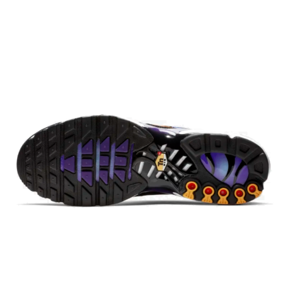 Nike Air Max Plus Midnight Purple