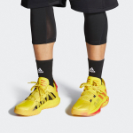 Adidas D lillard 6 GCA