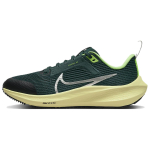 Nike Air Zoom Pegasus 40