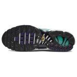 Nike Air Max Plus "Grape"