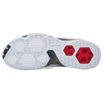 Nike Lebron 13 Low Olympic