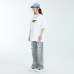 ICONS Lab T