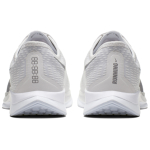 Nike Pegasus turbo 2