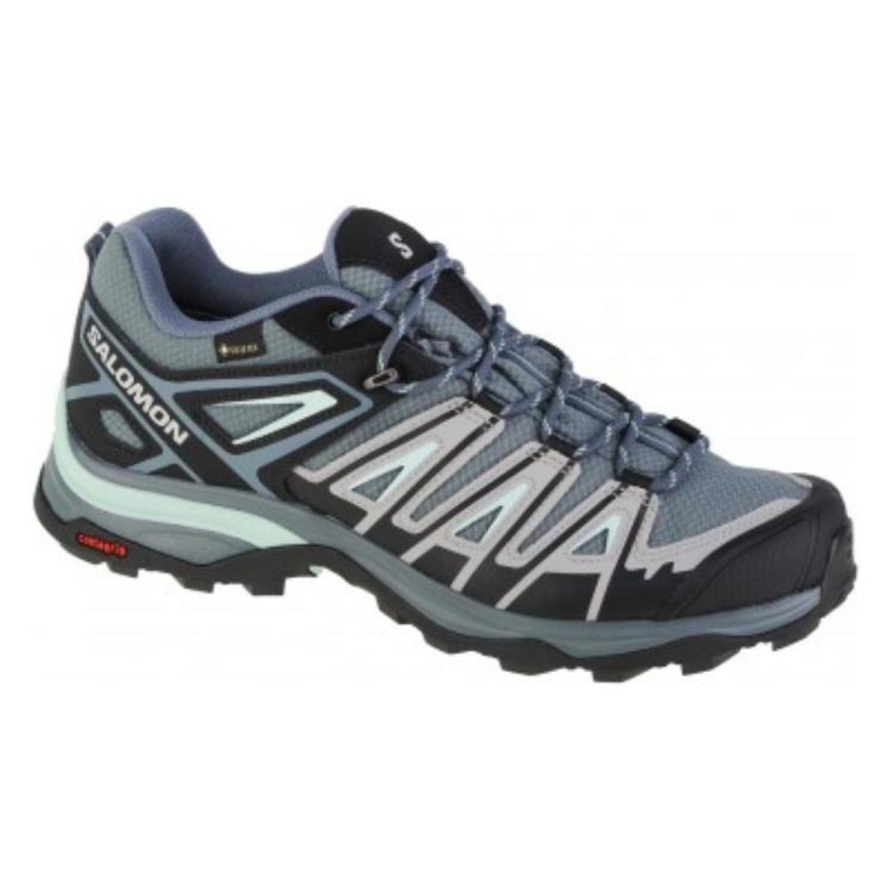 SALOMON X Ultra Pioneer GTX