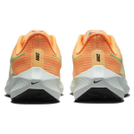 Nike Air Zoom Pegasus 39