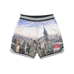 Supreme Week 15 x Mitchell & Ness Basketball Short