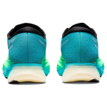 Asics Metaspeed Edge+