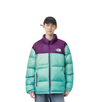 THE NORTH FACE 1996 Retro Nuptse 700
