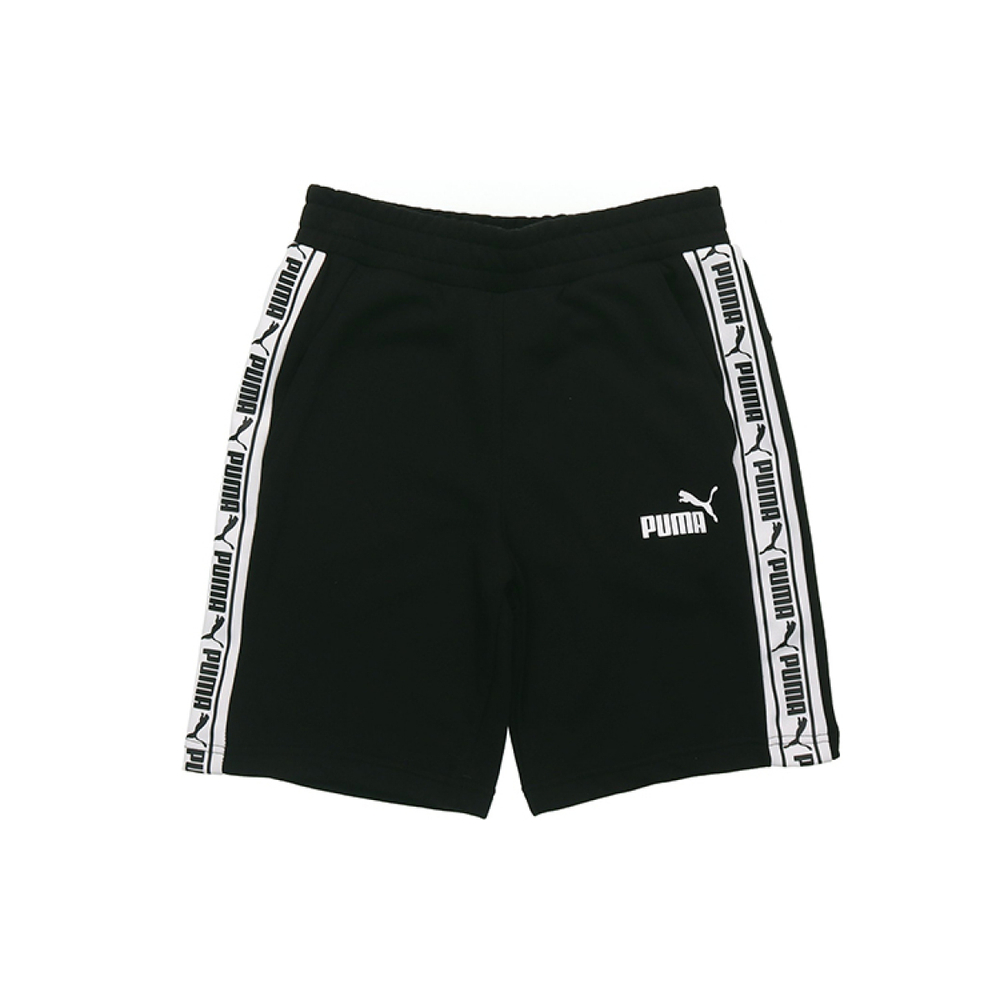 Puma T