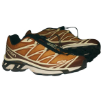 END SALOMON XT-6 "Porcini"