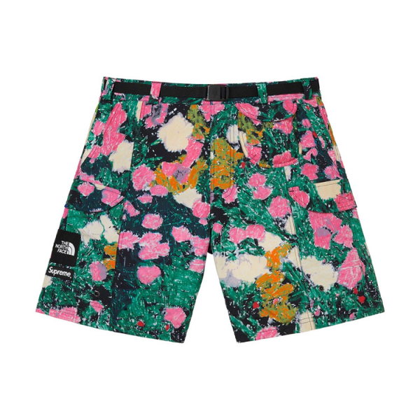 Supreme SS22 The North Face trekking packable belted short