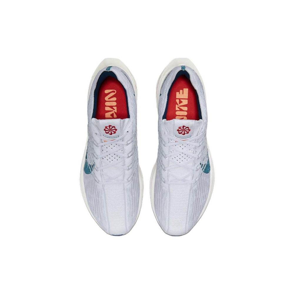 Nike Pegasus Turbo Next Nature