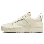 Nike Dunk Disrupt