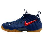 Nike Foamposite Pro “blue void”