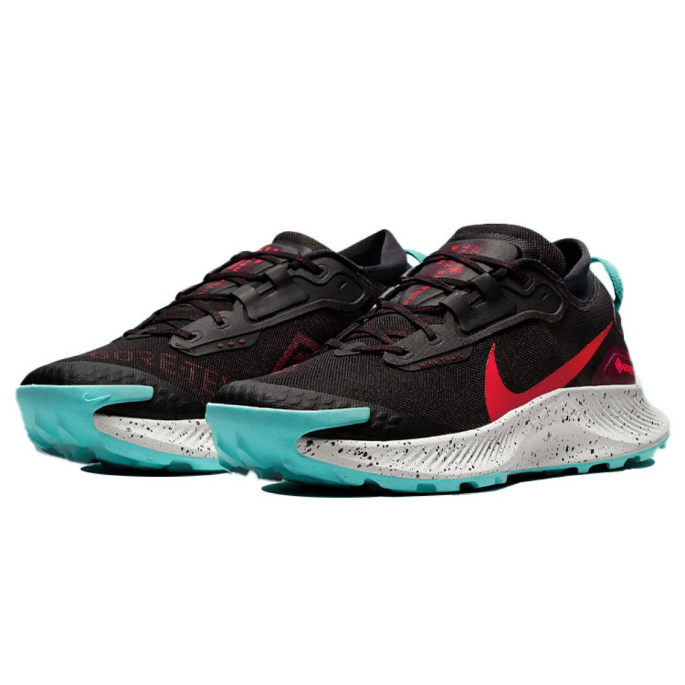 Nike Pegasus Trail 3 Gore-Tex