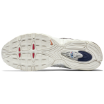 Nike Air Max Tailwind 4 "Blue Ribbon"