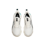 Anta