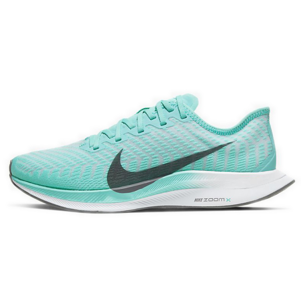 Nike Pegasus turbo 2