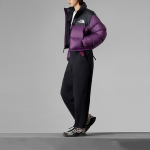 THE NORTH FACE NuptseUE ICON Logo