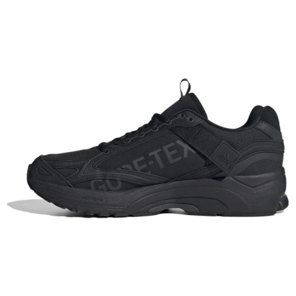 Adidas Spiritain 2000 GTX