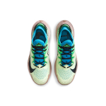 Nike Pegasus Trail 2