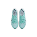 Nike Pegasus turbo 2