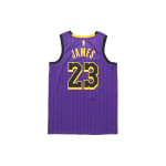 Nike NBA LeBron James SW 23