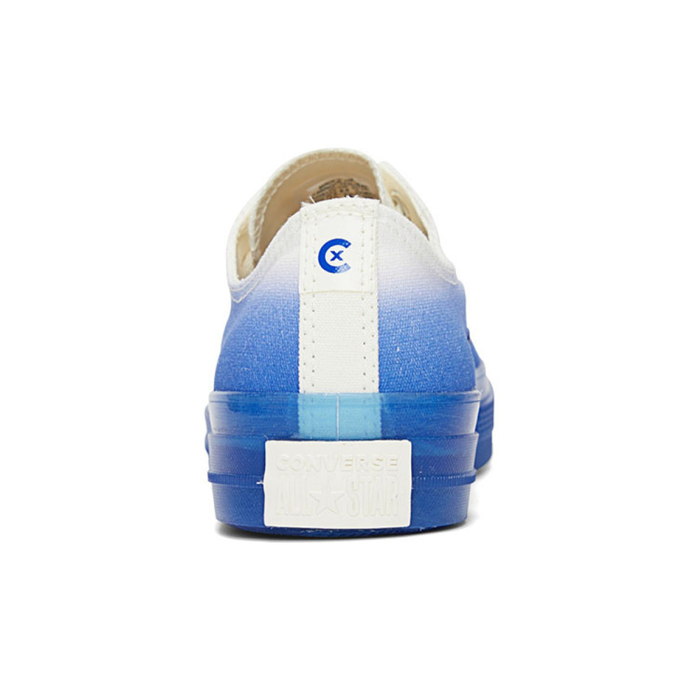 Converse Chuck Taylor Seasonal