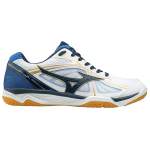Mizuno Wave Rider 25