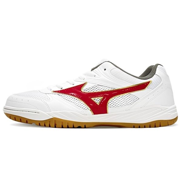 Mizuno School Indoor