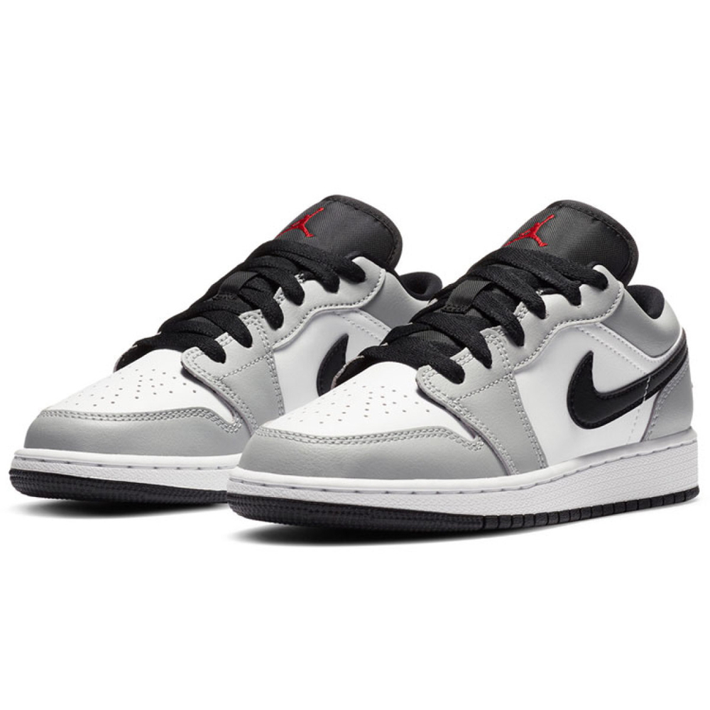Air Jordan 1 Low Dior