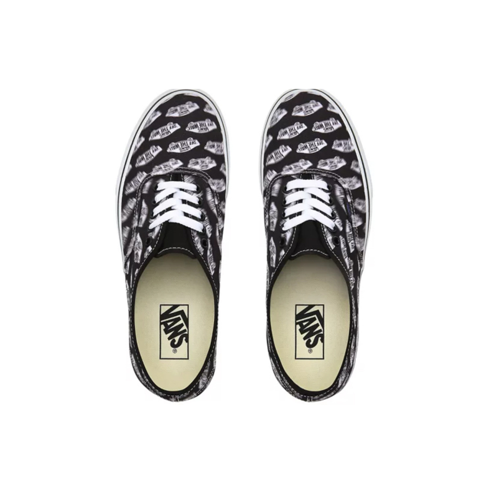 Vans Authentic Blur Boards