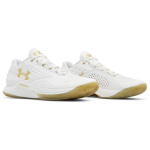 Under Armour Curry 1 Low Championship