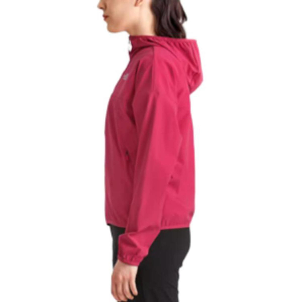 THE NORTH FACE log