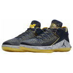 Jordan Air Jordan 32 Low "Michigan"
