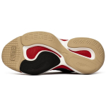 PUMA ALTERATION Curve