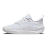 Nike Omni Multi-Court
