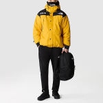/THE NORTH FACE GTX mountain jacket