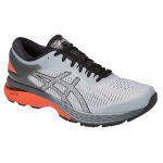 Asics Gel-Kayano 25