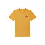 Vans T