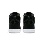 Nike Dunk SB PRO