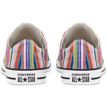 Converse Chuck Taylor All Star Low Top