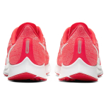 Nike Pegasus 36