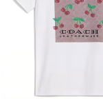 COACH T