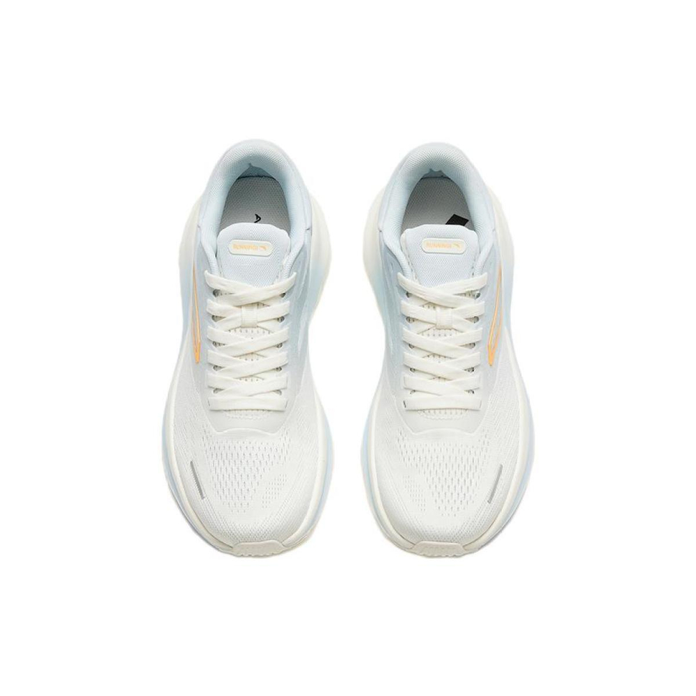 Anta