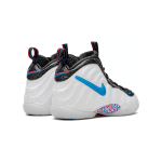 Nike Foamposite Pro 3D