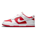 【 】 Nike Dunk 811