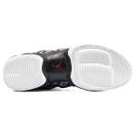 Jordan Air Jordan 28 Cement Elephant
