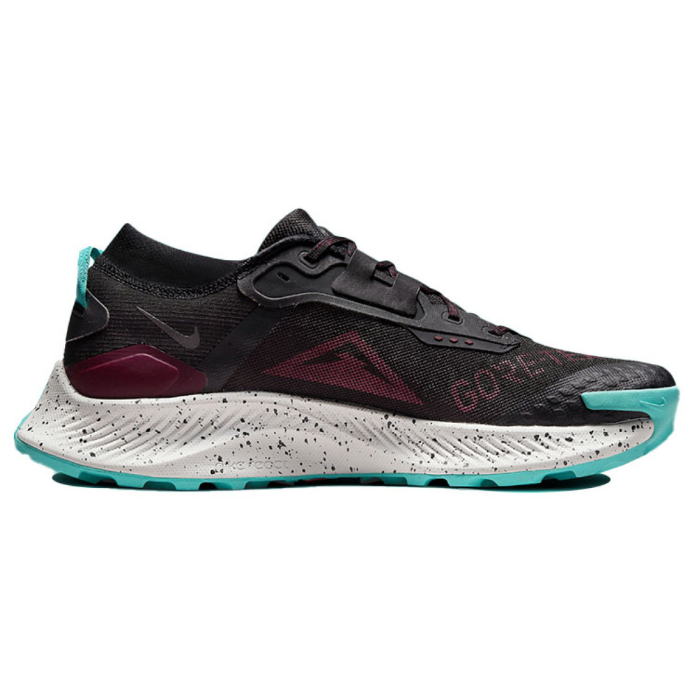 Nike Pegasus Trail 3 Gore-Tex