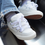 Ollieskate